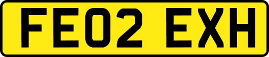 FE02EXH