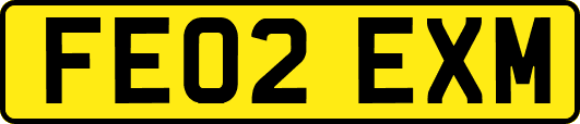 FE02EXM
