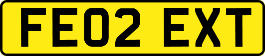 FE02EXT
