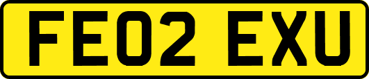 FE02EXU