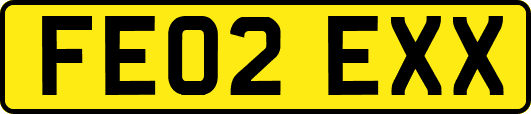 FE02EXX