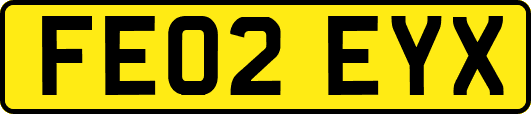 FE02EYX