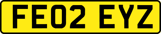 FE02EYZ
