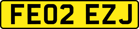 FE02EZJ