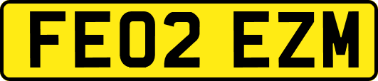 FE02EZM