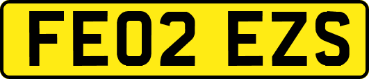 FE02EZS
