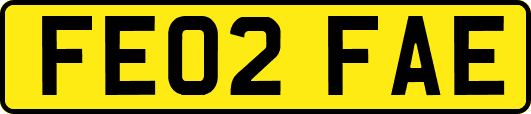 FE02FAE