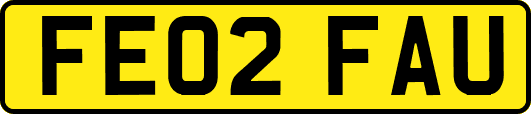 FE02FAU