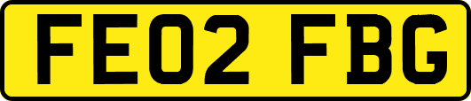 FE02FBG