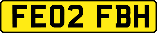 FE02FBH
