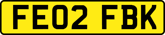 FE02FBK