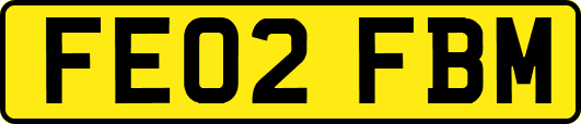 FE02FBM