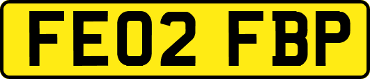 FE02FBP