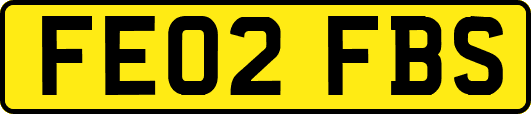 FE02FBS