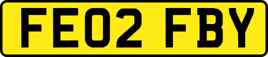 FE02FBY