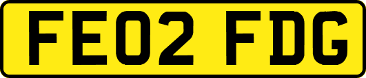 FE02FDG