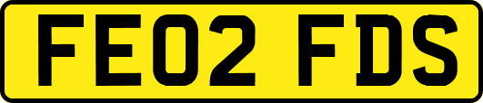 FE02FDS