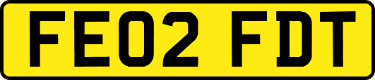 FE02FDT