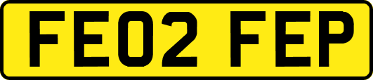 FE02FEP