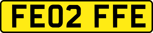 FE02FFE