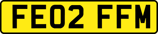 FE02FFM