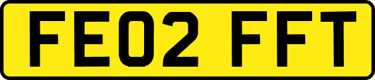 FE02FFT