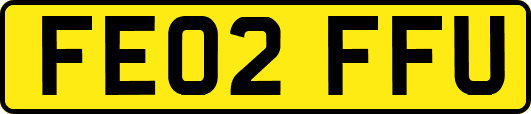 FE02FFU