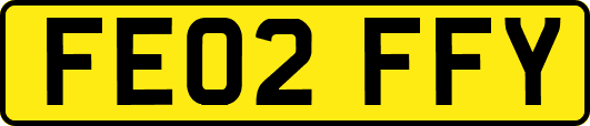 FE02FFY