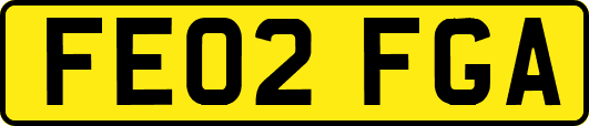 FE02FGA
