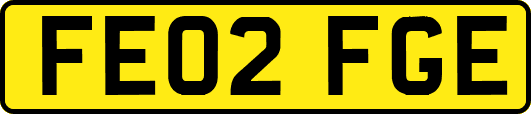 FE02FGE