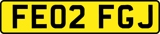 FE02FGJ
