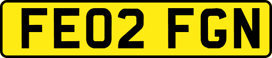 FE02FGN