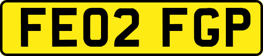 FE02FGP