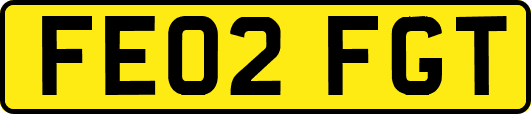FE02FGT