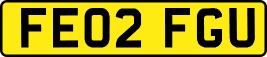 FE02FGU