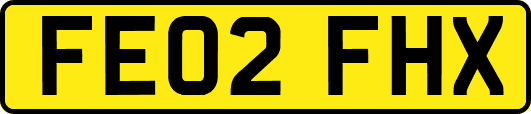 FE02FHX