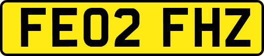 FE02FHZ