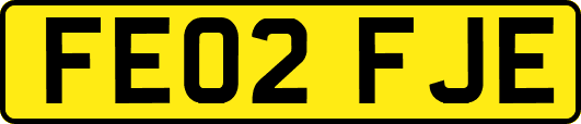 FE02FJE