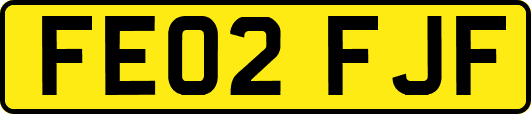 FE02FJF