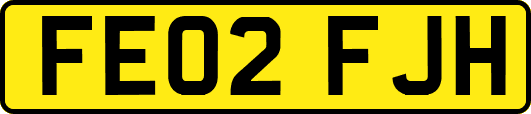 FE02FJH