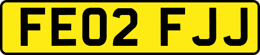 FE02FJJ