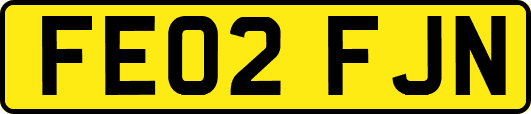 FE02FJN
