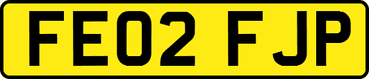 FE02FJP