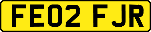 FE02FJR