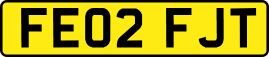 FE02FJT