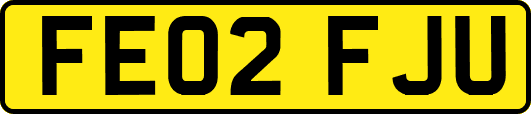FE02FJU