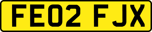FE02FJX