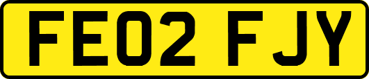 FE02FJY