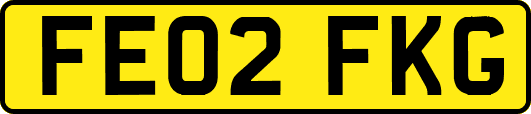 FE02FKG