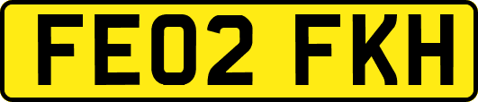 FE02FKH